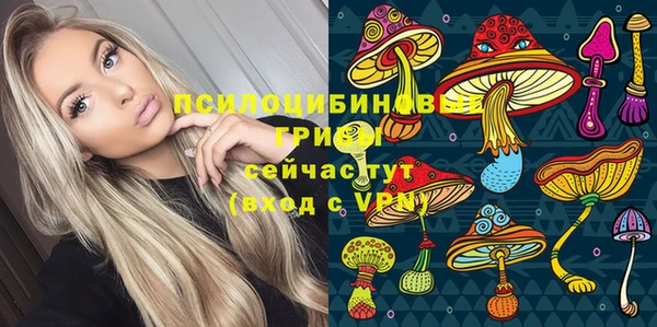 бошки Абаза