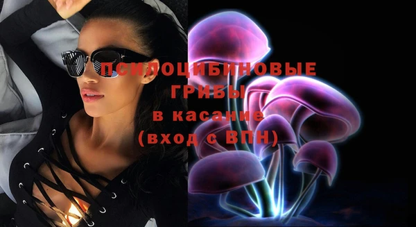 трава Абинск