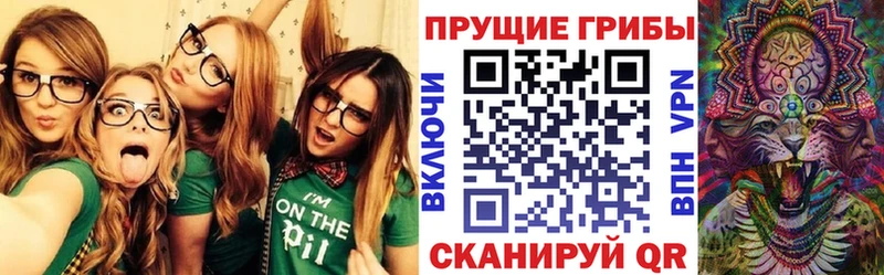 что такое   Стерлитамак  Псилоцибиновые грибы Magic Shrooms 